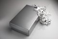 Silver gift box with bow Royalty Free Stock Photo