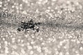 Silver glitter made by bokeh effect with silver snowflake abstract background, copy spac