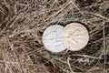 Silver and gold litecoin coin