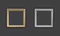 Silver and gold picture frame Royalty Free Stock Photo