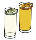 Silver and gold tequila garnished with slice of lime and salt, opange and cinnamon. Stylish hand-drawn doodle cartoon