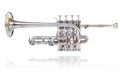Silver golden piccolo trumpet Royalty Free Stock Photo