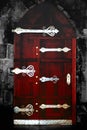 Silver gothic door Royalty Free Stock Photo