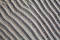 Silver gray sand on sea beach top view close up, ribbed dry sand surface pattern, wavy curved diagonal lines texture Royalty Free Stock Photo