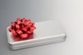 Silver Grey Brushed Metal Gift Box and Red Bow