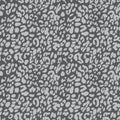 Silver on grey leopard print seamless repeat pattern background Royalty Free Stock Photo