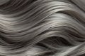 Silver grey wavy long shiny hair texture, gray aged hair.