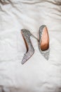 Silver grey wedding shoes on white background. trendy bridal high heels. Luxury, glamorous and feminine looks. Beauty and fashion Royalty Free Stock Photo