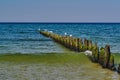 Silver-gulls sitting on a wooden breakwater Royalty Free Stock Photo