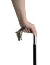 Silver handled cane