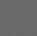 Silver Hexagonal with Grey Pattern Background