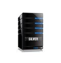 Silver Hosting Server Package