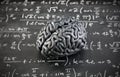 Human brain model with mathematical equations on scholl chalkboard. Science, education and learning concept. Royalty Free Stock Photo