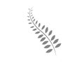 Silver fern plant logo icon Royalty Free Stock Photo