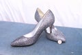 Silver ladies shoes with silver sixpence Royalty Free Stock Photo