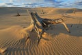 Silver Lake Sand Dunes