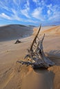 Silver Lake Sand Dunes Royalty Free Stock Photo