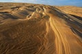 Silver Lake Sand Dunes Royalty Free Stock Photo