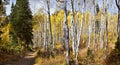 Silver Lake by Solitude and Brighton Ski resort in Big Cottonwood Canyon. Panoramic Views from the hiking and boardwalk trails of