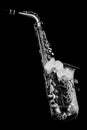 Silver matte finished alto saxophone with orchids on black background