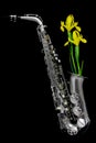 Silver matte finished alto saxophone with yellow iris lilies on black background