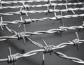 Metal barbed wire on black background. Royalty Free Stock Photo