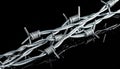 Metal barbed wire on black background. Royalty Free Stock Photo