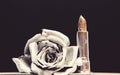 Silver metal. Silver fashion. Cosmetics and beauty supplies. Lip balm care and lipstick. Makeup concept. Fashion makeup