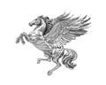 Silver metal flying horse Pegasus isolated on white background with clipping path. Royalty Free Stock Photo