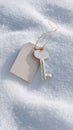 Silver metal key with blank tag on snow-covered ground in winter light Royalty Free Stock Photo