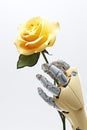 A silver metal robot arm reaches out to flower. Isolated in front of white background. Conceptual photo on artificial