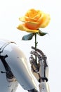 A silver metal robot arm reaches out to yellow rose. Isolated in front of white background. Conceptual photo on