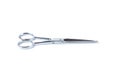 Silver metal scissors for haircut on white background Royalty Free Stock Photo