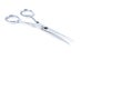 Silver metal scissors for haircut on white background Royalty Free Stock Photo