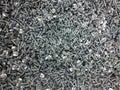 Silver metallic small screws with large hats. Beautiful shine of metal in the lighting of the store. Building materials, repair,