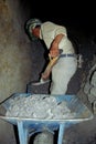 Silver Mine Worker