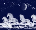 Silver Moon Ocean Spirit Horses