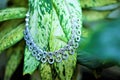 Silver necklace hanging on leaves. Dimond studded silver necklace.