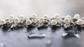 Silver necklace with pearls Royalty Free Stock Photo