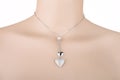 Silver necklace with two heart pendants Royalty Free Stock Photo