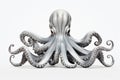 silver octopus on a white background