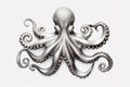 silver octopus on a white background