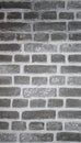 Silver Painted Brick Wall. Abstract background texture with old dirty and vintage style pattern Royalty Free Stock Photo