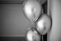 SIlver party baloons