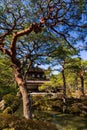 Silver Pavilion through the branches of a zen garden in Ginkakuji temple in Kyoto, Japan Royalty Free Stock Photo