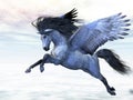 Silver Pegasus
