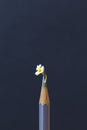 Silver pencil with a daisy