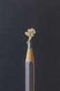 Silver pencil with a daisy