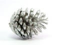 Silver pinecone Royalty Free Stock Photo