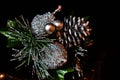 Silver pinecone Christmas decoration Royalty Free Stock Photo